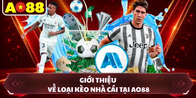 Giới thiệu về loại kèo nhà cái tại AO88